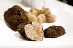 Truffle at Eataly