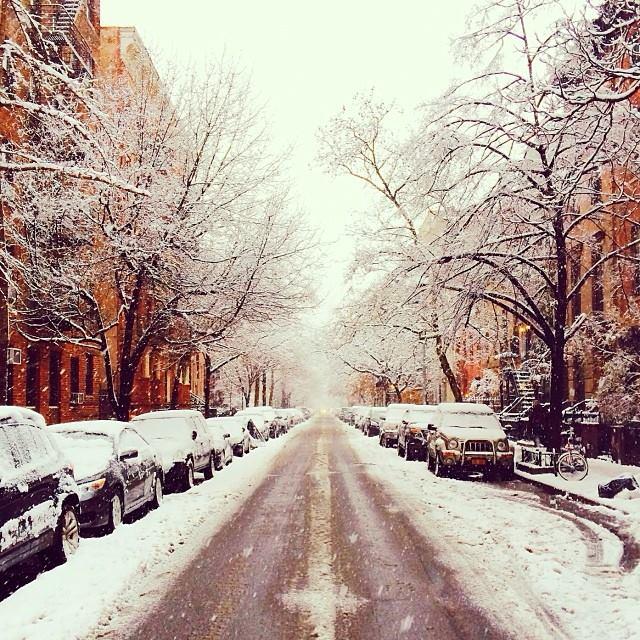 NYC snow day