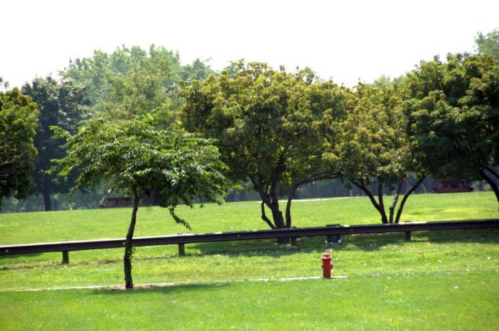 Soundview Park field