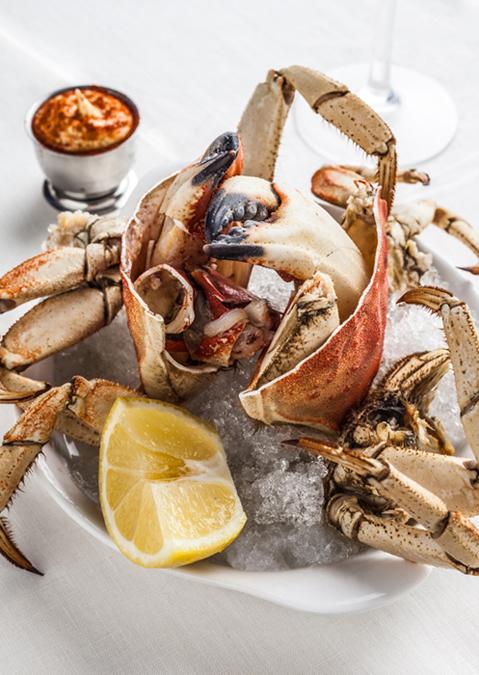 Crab - French Louie