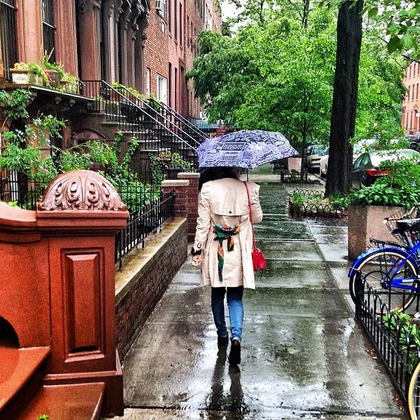 Bergdorf Goodman Umbrella Day