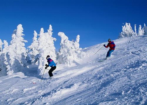 Bear Valley Skiing