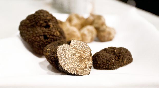 Truffle at Eataly