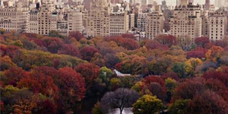 New York Autumn in Central Park