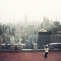 Cinematic Gif  -Top of empire state building