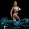 Cirque Du Soleil - Varekai