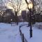 Snow in Central Park