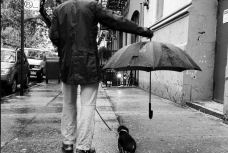 Umbrella for the dog